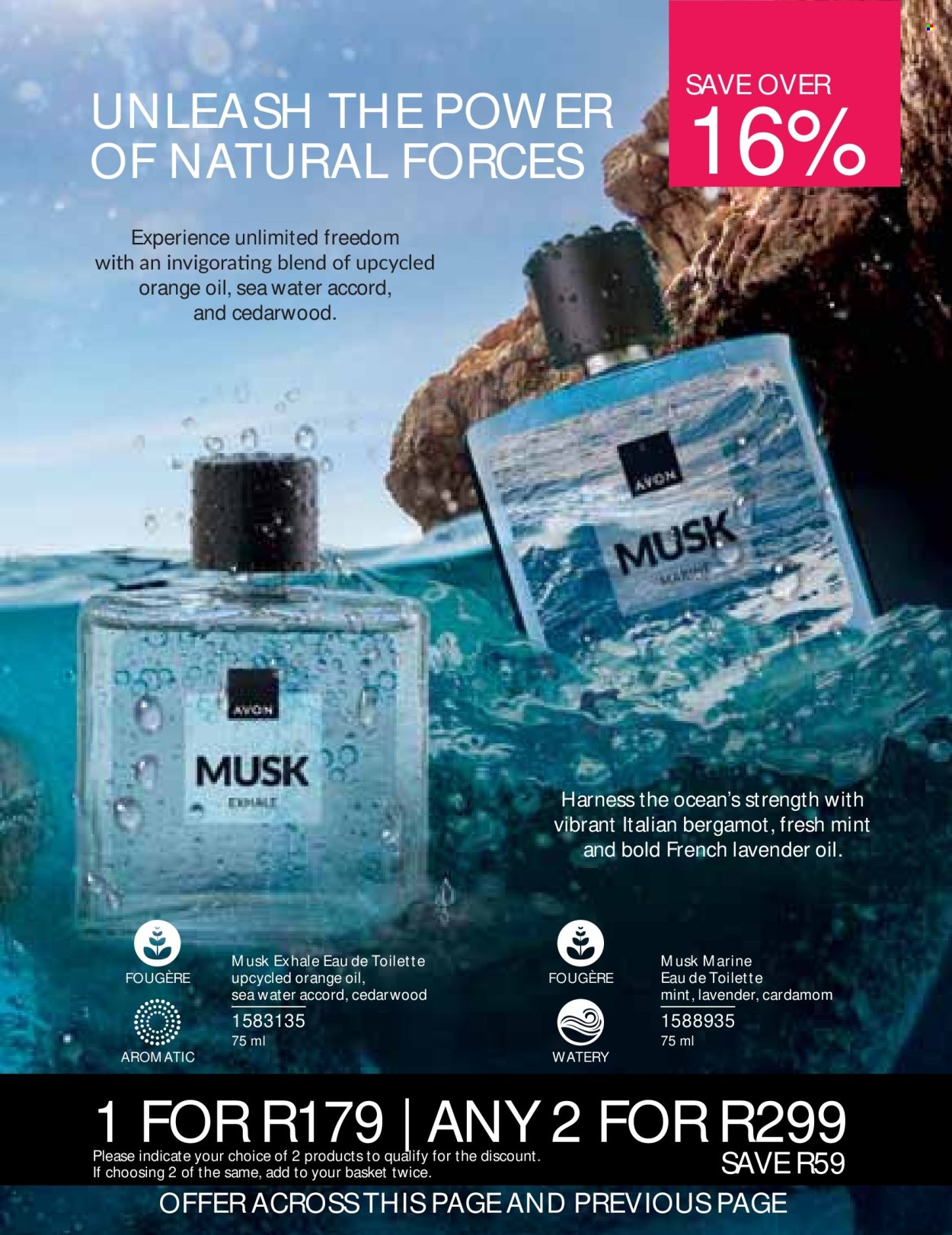 Avon specials - 01/08/2026 - 31/08/2026. Page 81