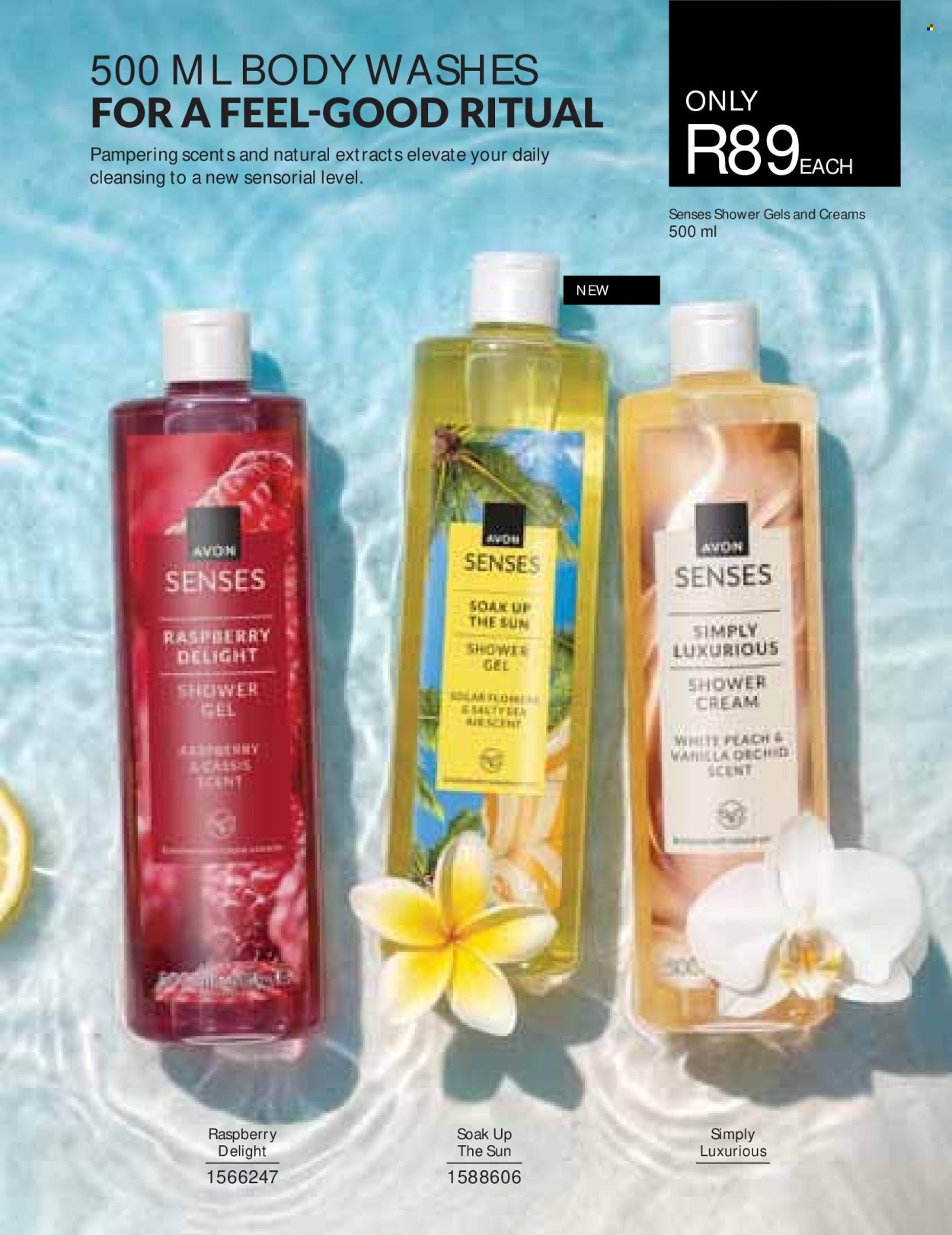 Avon specials - 01/08/2026 - 31/08/2026. Page 161