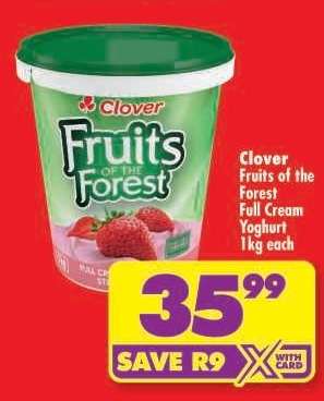 Clover Fruits of the Forest Full Cream Yoghurt 1kg each