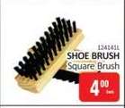 Shoe Brush