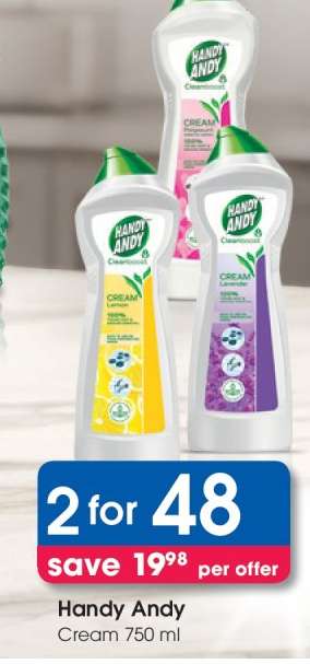 HANDY ANDY