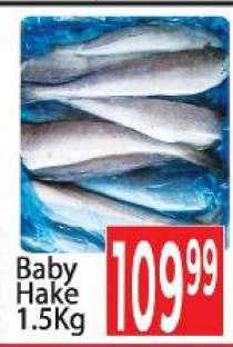 Baby Hake