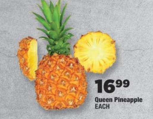 Queen Pineapple