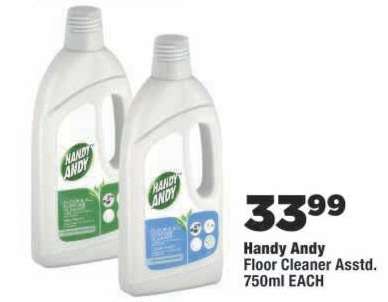 HANDY ANDY