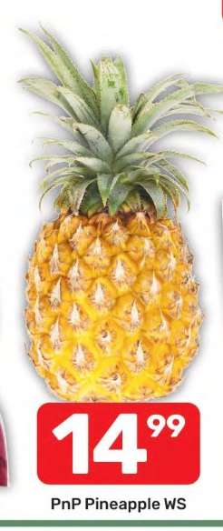 PnP Pineapple WS