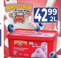 Home Ice Cream Blueberry Flavoured Ice Cream