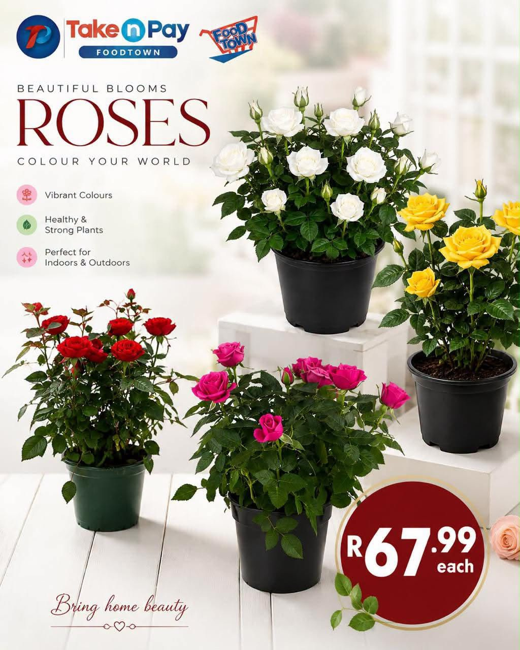 Take n Pay specials. Page 1