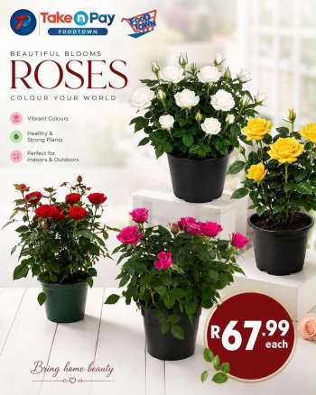 Take n Pay catalogue .