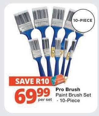 Pro Brush Paint Brush Set