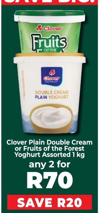 Clover Plain Double Cream or Fruits of the Forest Yoghurt Assorted 1 kg