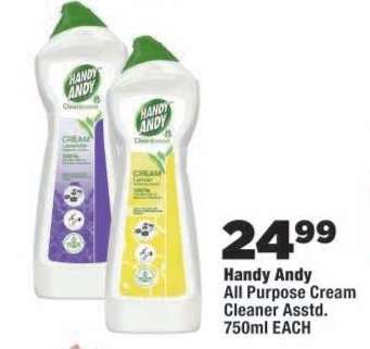 HANDY ANDY