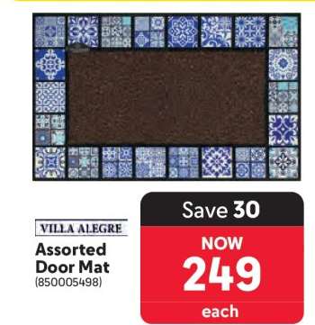 Assorted Door Mat