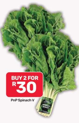 PnP Spinach V