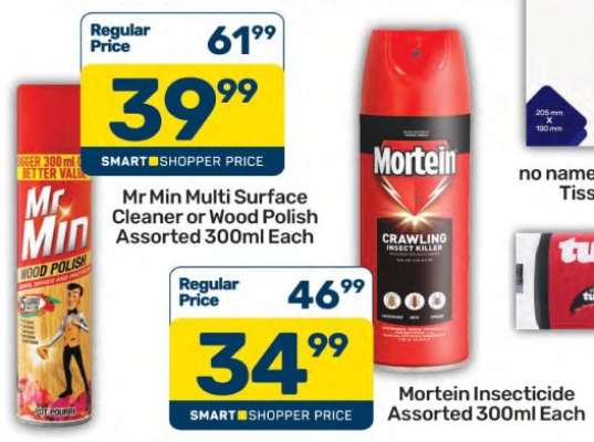 Mortein Insecticide Assorted-300ml Each