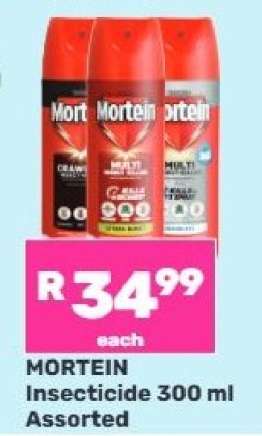 MORTEIN Insecticide 300 ml Assorted