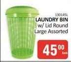 Laundry Bin