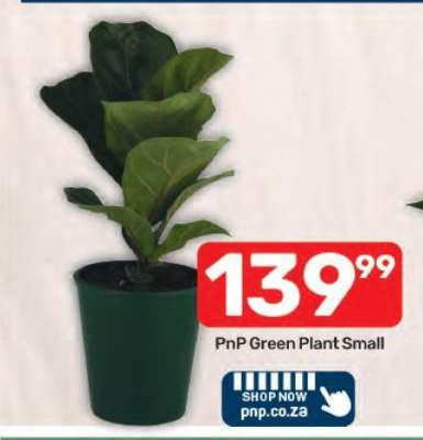 PnP Green Plant Small