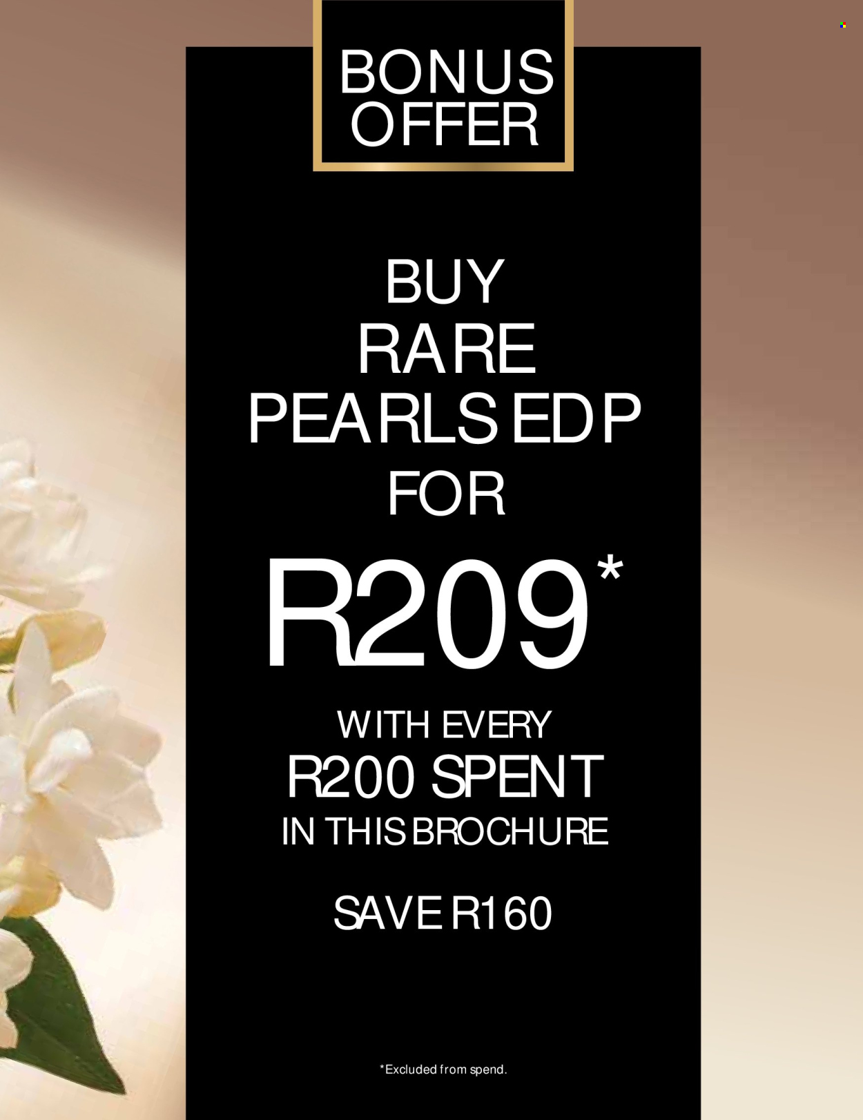 Avon specials - 01/10/2026 - 31/10/2026. Page 7