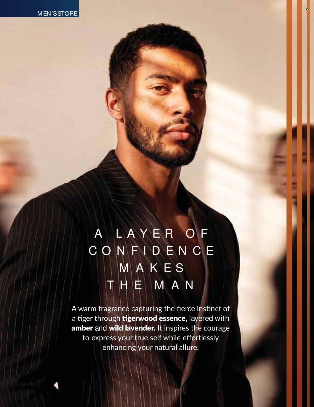 Avon specials - 01/10/2026 - 31/10/2026. Page 82