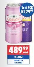 GORDON'S GIN CANS RANGE