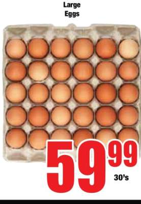 Large Eggs