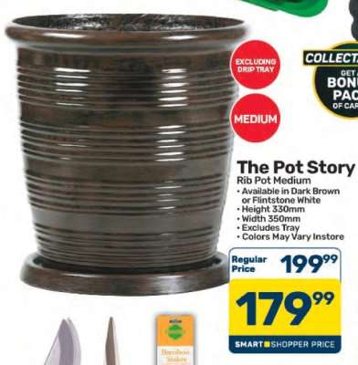 The Pot Story Rib Pot Medium