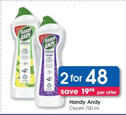 HANDY ANDY